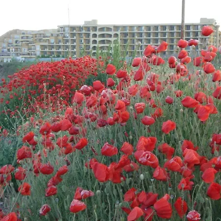 Apartment In Midia Grand *